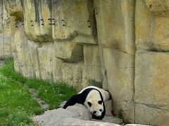 -上海野生动物园