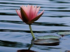 -上海植物园-4号门售票处