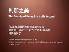 -知美术馆
