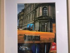 -【朵云轩艺术中心】博洛尼亚插画展·中国巡展·上海站