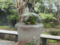-Chom Cafe and Restaurant