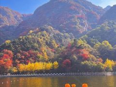 -秦岭终南山世界地质公园翠华山景区