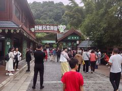 -野象谷景区