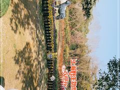 -上海野生动物园
