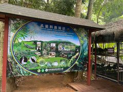-西双版纳原始森林公园
