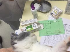 -全心全意连锁动物医院(加州店)
