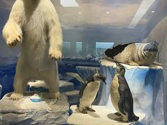 -国家自然博物馆