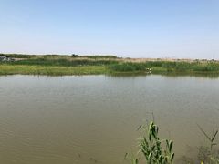 -同里国家湿地公园