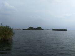 -太湖湖滨国家湿地公园-停车场