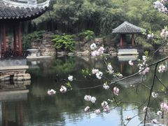 -水绘园