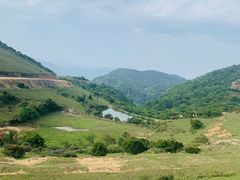 -大姆山草场