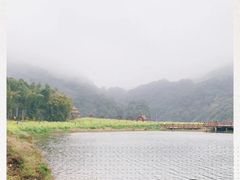 -广州市石门国家森林公园