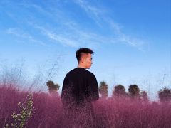 -汉长安城未央宫国家考古遗址公园