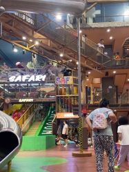 -卡通尼·Safari非洲探索乐园·生日会(金桥国际商业广场店)