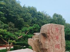-童牛岭风景区