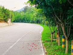 -北京鹫峰国家森林公园
