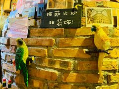 -盘炉forenza·云贵川融合小食堂 ( 钟楼中柳巷店)
