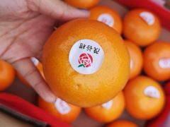 -上海龙吴水胜海发市场