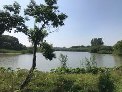 -沙家浜风景区