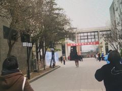 -北京师范大学附属中学