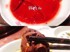 鲜鸭血-晓宇重庆火锅(赛格国际购物中心店)