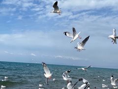 -青海湖国家重点风景名胜区