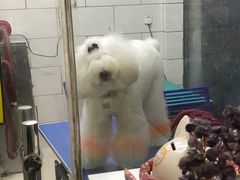 -瑞派天宁宠物医院·猫科·异宠中心