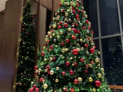 -嘉定凯悦·咖啡厅