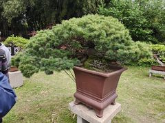 -水绘园
