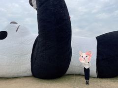 -苏州太湖国家湿地公园