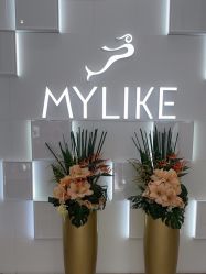 -深圳美莱医疗美容医院