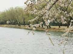 -颐和园