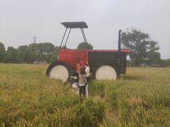 -嘉北郊野公园