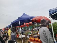 -塘栖枇杷特色园区