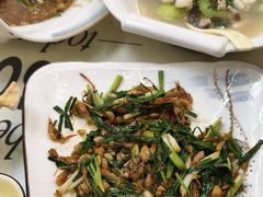 -谢三姐金奖啤酒鱼(总店)