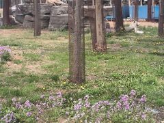 -秦皇岛野生动物园