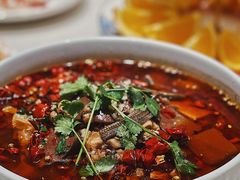 -蝶园·装修中(BFC外滩金融中心店)