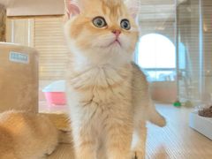 -Me Coffee下午茶艺术空间