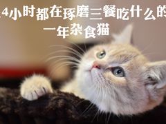 -星巴克臻选(深圳嘉里建设广场店)