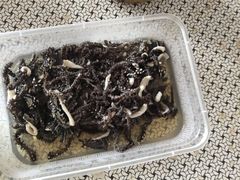 -宋记爆肚(酒仙桥店)