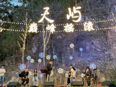 -千岛湖天屿景区