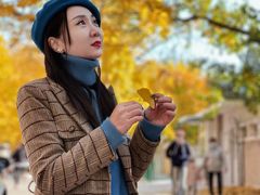 -三里屯东五街银杏大道
