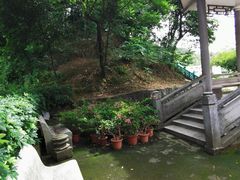 -长洲岛