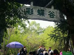 -天目湖山水园