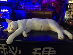 -星宿秘码(鼓浪屿老店)