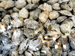 -清真海鲜大排档(原芥园道店)