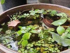 -川匠·睡眠采耳·SPA(九眼桥店)