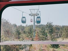 -摩天岭风景区