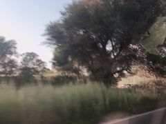 -御道口草原森林风景区-游客咨询处