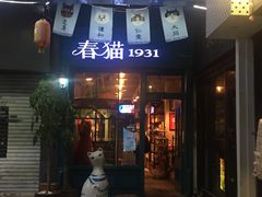 -猫咪博物馆(顶澳仔猫街店)
